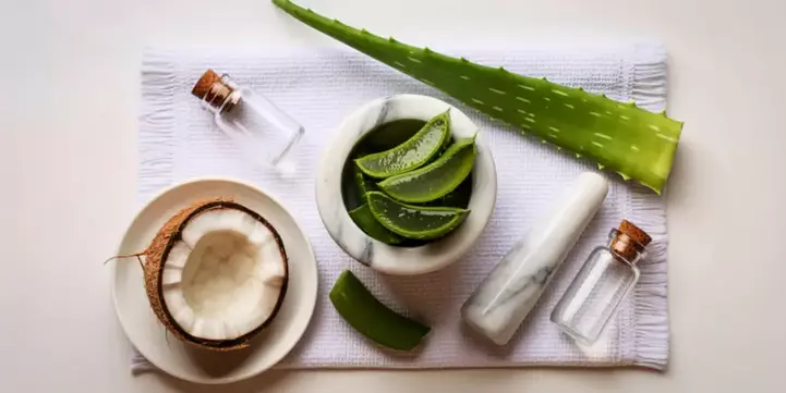Ingredientes de origen vegetal utilizados en cosmética natural como el aloe vera