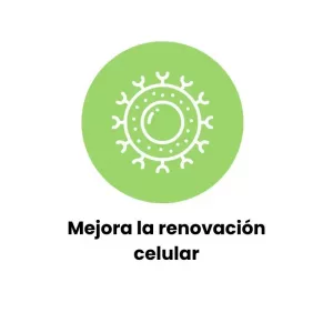 Mejora la renovación celular.